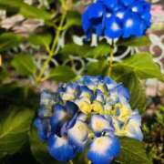 ヒメ日記 2026/05/25 22:15 投稿 はな DEEP BLACK