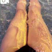 ヒメ日記 2025/09/04 19:20 投稿 赤木みずほ 渋谷エオス