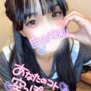 ヒメ日記 2025/07/26 19:12 投稿 ヒトミ きらめけ！にゃんにゃん学園in大宮