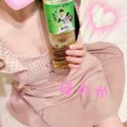 ヒメ日記 2026/03/26 01:17 投稿 大谷◇ほのか 赤と黒～女と男の秘密倶楽部～