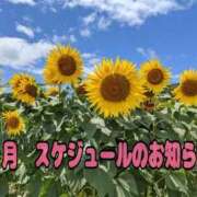 ヒメ日記 2026/06/28 19:52 投稿 花村 ゆず 大阪貴楼館