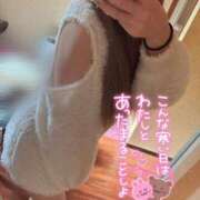 ヒメ日記 2025/12/03 12:35 投稿 成瀬　ゆあ 赤と黒～女と男の秘密倶楽部～