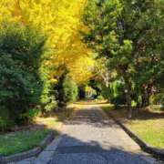 名越 美香 12月 熟女・人妻マダム宮殿