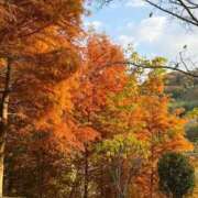 ヒメ日記 2025/12/01 06:13 投稿 みれい とろける時間～脳バク♡エステ～