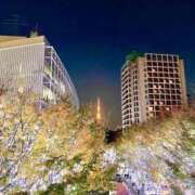 ヒメ日記 2025/12/12 15:38 投稿 みれい とろける時間～脳バク♡エステ～