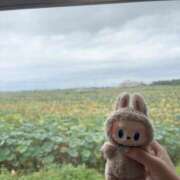 ヒメ日記 2025/12/24 06:13 投稿 みれい とろける時間～脳バク♡エステ～