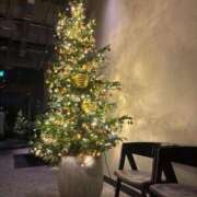 ヒメ日記 2025/12/24 20:03 投稿 みれい とろける時間～脳バク♡エステ～