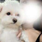 ヒメ日記 2025/08/21 16:40 投稿 まい ごほうびSPA五反田店