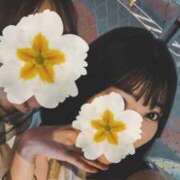 ヒメ日記 2025/10/29 19:52 投稿 まい ごほうびSPA五反田店