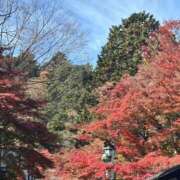 諸星優奈(もろぼしゆな) 紅葉🍁 東京ヒストリー　秘密の約束