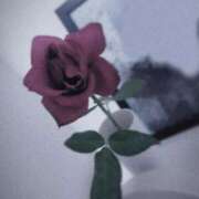 ヒメ日記 2025/09/04 21:13 投稿 おとね CLUB DEEP 博多