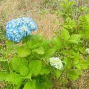 ヒメ日記 2025/08/26 08:35 投稿 みやび すごいエステ 名古屋店