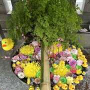 ヒメ日記 2026/03/03 13:24 投稿 ひめか 激やみ！痴女伝説　五反田店