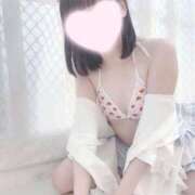 ヒメ日記 2025/08/01 12:49 投稿 このちゃん チューリップ福井別館