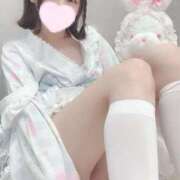 ヒメ日記 2025/09/04 17:34 投稿 このちゃん チューリップ福井別館