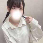 ヒメ日記 2025/09/29 12:32 投稿 このちゃん チューリップ福井別館