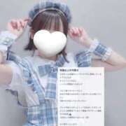 ヒメ日記 2025/08/17 12:12 投稿 このちゃん チューリップ福井本館