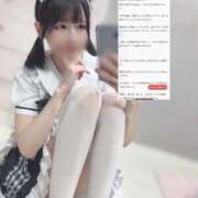 ヒメ日記 2025/09/15 16:14 投稿 このちゃん チューリップ福井本館