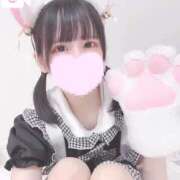 ヒメ日記 2025/10/09 17:07 投稿 このちゃん チューリップ福井本館