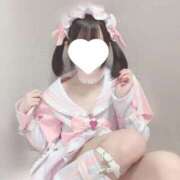 ヒメ日記 2025/10/11 07:14 投稿 このちゃん チューリップ福井本館