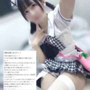 ヒメ日記 2025/10/12 13:14 投稿 このちゃん チューリップ福井本館