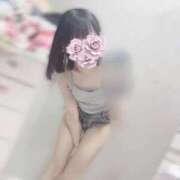 このちゃん 驚きこのちゃん！ チューリップ福井本館