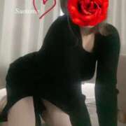 ヒメ日記 2025/10/16 08:28 投稿 さおとめ 丸妻 厚木店