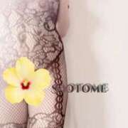 ヒメ日記 2026/01/26 21:10 投稿 さおとめ 丸妻 厚木店