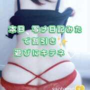 ヒメ日記 2026/03/09 15:45 投稿 さおとめ 丸妻 厚木店