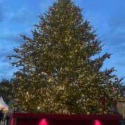 ヒメ日記 2025/11/15 09:51 投稿 せ　い アイドルソープ　萌えっ娘学園