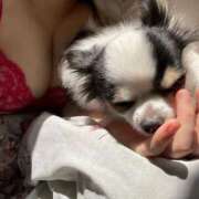 ヒメ日記 2025/07/27 10:19 投稿 あおい アイドルドリーム