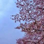 ヒメ日記 2026/04/03 17:50 投稿 よる 天空のマット