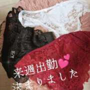 ヒメ日記 2026/03/14 15:33 投稿 りおん おいらん遊郭