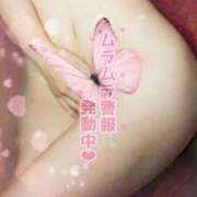 ヒメ日記 2025/08/08 10:08 投稿 すなお 熟女の風俗最終章 相模原店