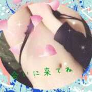 ヒメ日記 2026/02/14 10:20 投稿 すなお 熟女の風俗最終章 相模原店