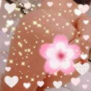 ヒメ日記 2025/08/03 19:01 投稿 すなお 熟女の風俗最終章 町田店