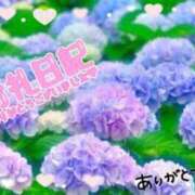 ヒメ日記 2025/12/13 10:00 投稿 すなお 熟女の風俗最終章 町田店