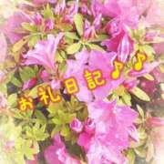 ヒメ日記 2026/02/17 11:50 投稿 すなお 熟女の風俗最終章 町田店