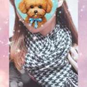 ヒメ日記 2025/11/24 08:20 投稿 ほまれ セレブクエスト-Nishikawa-