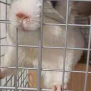 ヒメ日記 2025/12/05 15:19 投稿 みあ マリン宇都宮店