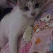 ヒメ日記 2025/08/23 05:05 投稿 みさき 丸妻 厚木店