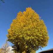 ヒメ日記 2025/11/28 16:05 投稿 きい 水戸ソープランド　水戸スリーナイン(9990)