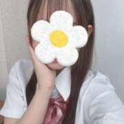 ヒメ日記 2025/11/23 13:03 投稿 まゆ 秋葉原ハンドメイド