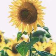 ヒメ日記 2025/08/11 12:23 投稿 しなの 厚木人妻城