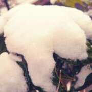 しなの ぽこり 厚木人妻城