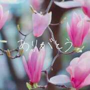 ヒメ日記 2026/01/17 14:21 投稿 れお ぷよラブ れぼりゅ～しょん