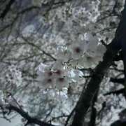 ヒメ日記 2026/03/29 22:56 投稿 れお ぷよラブ れぼりゅ～しょん