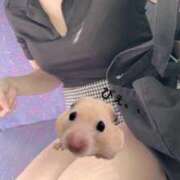 ヒメ日記 2025/08/06 10:02 投稿 かおり アイドルチェッキーナ本店