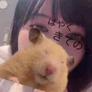 ヒメ日記 2025/08/30 16:42 投稿 かおり アイドルチェッキーナ本店