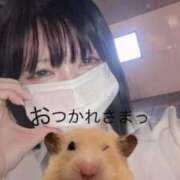 ヒメ日記 2025/09/04 21:57 投稿 かおり アイドルチェッキーナ本店